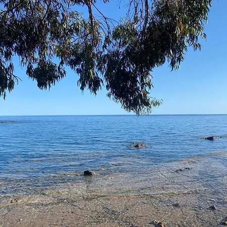 T2 à 50 Mètres De La Mer, Belle Vue Sur Végétation *